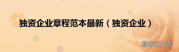 独资企业 独资企业章程范本最新