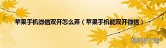 苹果手机能双开微信 苹果手机微信双开怎么弄