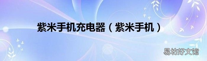 紫米手机 紫米手机充电器