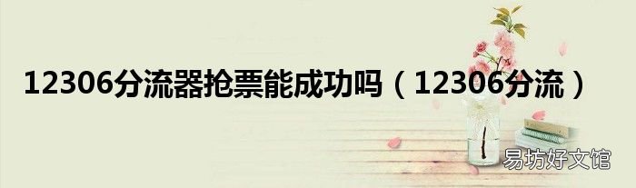 12306分流 12306分流器抢票能成功吗