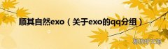 关于exo的qq分组 顺其自然exo