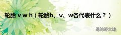 轮胎h、v、w各代表什么？ 轮胎 v w h