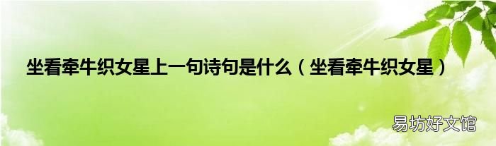 坐看牵牛织女星 坐看牵牛织女星上一句诗句是什么