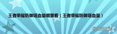 王者荣耀防御塔血量 王者荣耀防御塔血量哪里看