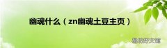 zn幽魂土豆主页 幽魂什么