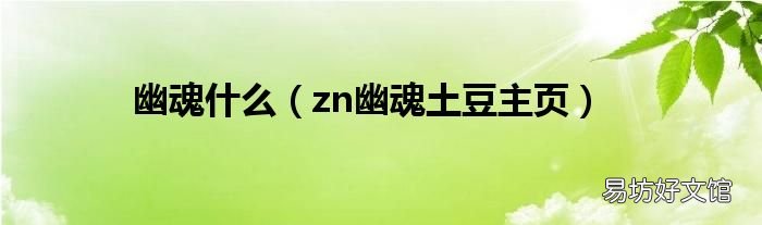 zn幽魂土豆主页 幽魂什么