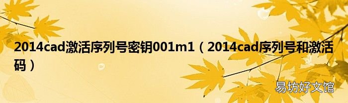 2014cad序列号和激活码 2014cad激活序列号密钥001m1