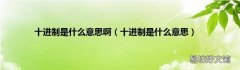 十进制是什么意思 十进制是什么意思啊