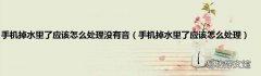 手机掉水里了应该怎么处理 手机掉水里了应该怎么处理没有音