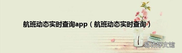 航班动态实时查询 航班动态实时查询app