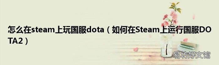 如何在Steam上运行国服DOTA2 怎么在steam上玩国服dota