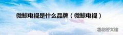 微鲸电视 微鲸电视是什么品牌