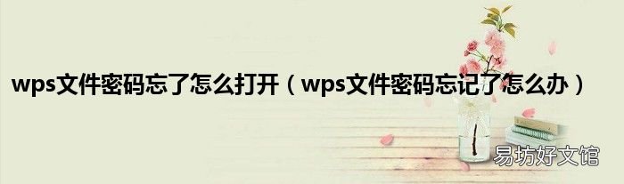 wps文件密码忘记了怎么办 wps文件密码忘了怎么打开