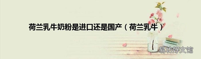 荷兰乳牛 荷兰乳牛奶粉是进口还是国产