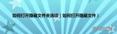 如何打开隐藏文件 如何打开隐藏文件夹选项