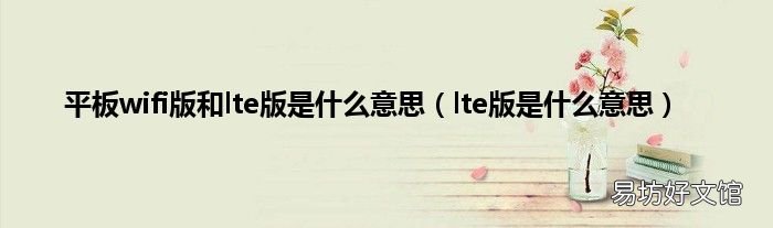 lte版是什么意思 平板wifi版和lte版是什么意思
