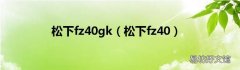 松下fz40 松下fz40gk