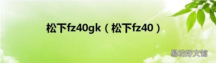 松下fz40 松下fz40gk