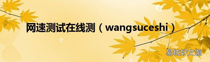 wangsuceshi 网速测试在线测