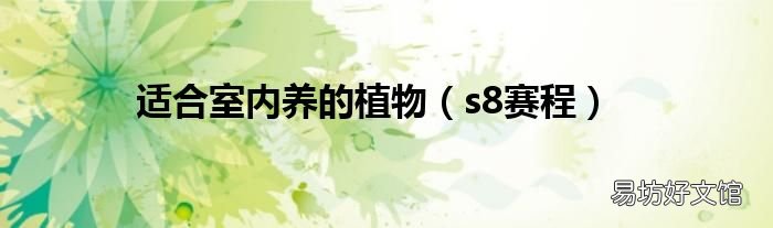 s8赛程 适合室内养的植物