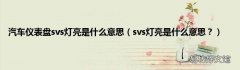 svs灯亮是什么意思？ 汽车仪表盘svs灯亮是什么意思