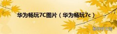 华为畅玩7c 华为畅玩7C图片