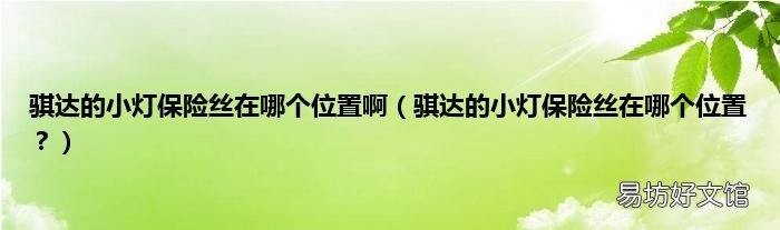 骐达的小灯保险丝在哪个位置? 骐达的小灯保险丝在哪个位置啊
