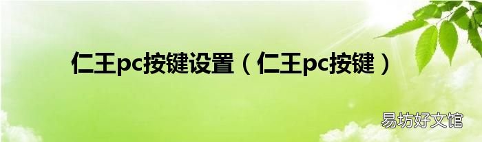 仁王pc按键 仁王pc按键设置
