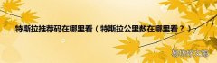特斯拉公里数在哪里看？ 特斯拉推荐码在哪里看
