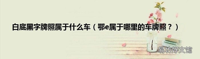 鄂e属于哪里的车牌照? 白底黑字牌照属于什么车