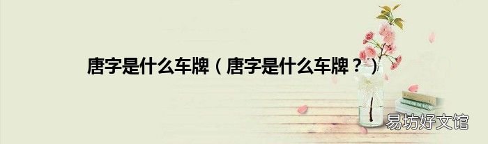 唐字是什么车牌? 唐字是什么车牌