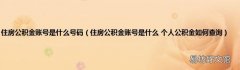 住房公积金账号是什么 个人公积金如何查询 住房公积金账号是什么号码