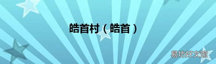 皓首 皓首村