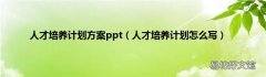 人才培养计划怎么写 人才培养计划方案ppt