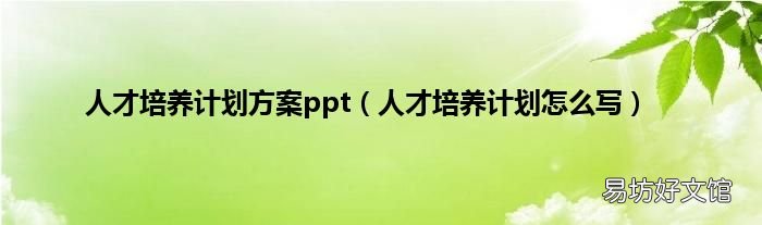 人才培养计划怎么写 人才培养计划方案ppt