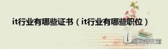 it行业有哪些职位 it行业有哪些证书