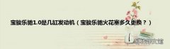 宝骏乐驰火花塞多久更换？ 宝骏乐驰1.0是几缸发动机