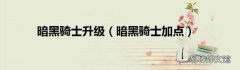 暗黑骑士加点 暗黑骑士升级