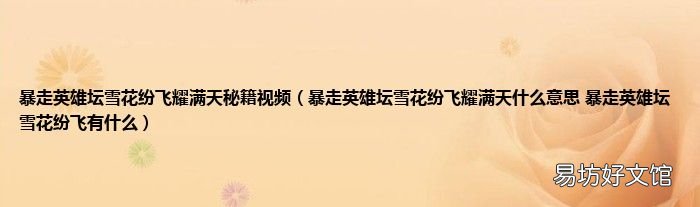 暴走英雄坛雪花纷飞耀满天什么意思 暴走英雄坛雪花纷飞有什么 暴走英雄坛雪花纷飞耀满天秘籍视频