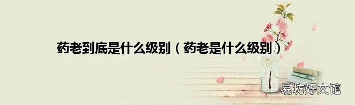 药老是什么级别 药老到底是什么级别