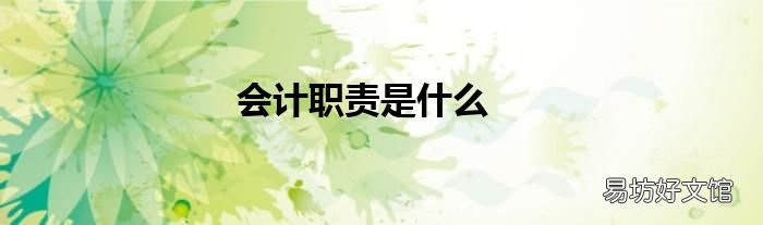 会计职责是什么