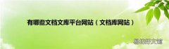 文档库网站 有哪些文档文库平台网站