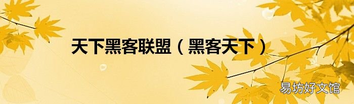 黑客天下 天下黑客联盟