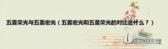 五菱宏光和五菱荣光的对比是什么？ 五菱荣光与五菱宏光