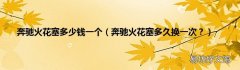 奔驰火花塞多久换一次？ 奔驰火花塞多少钱一个