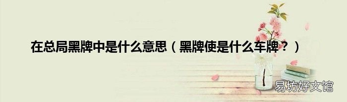 黑牌使是什么车牌? 在总局黑牌中是什么意思