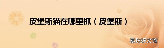 皮堡斯 皮堡斯猫在哪里抓