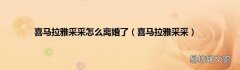 喜马拉雅采采 喜马拉雅采采怎么离婚了