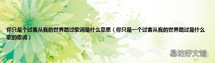 你只是一个过客从我的世界路过是什么歌的歌词 你只是个过客从我的世界路过歌词是什么意思