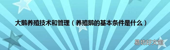 养殖鹅的基本条件是什么 大鹅养殖技术和管理